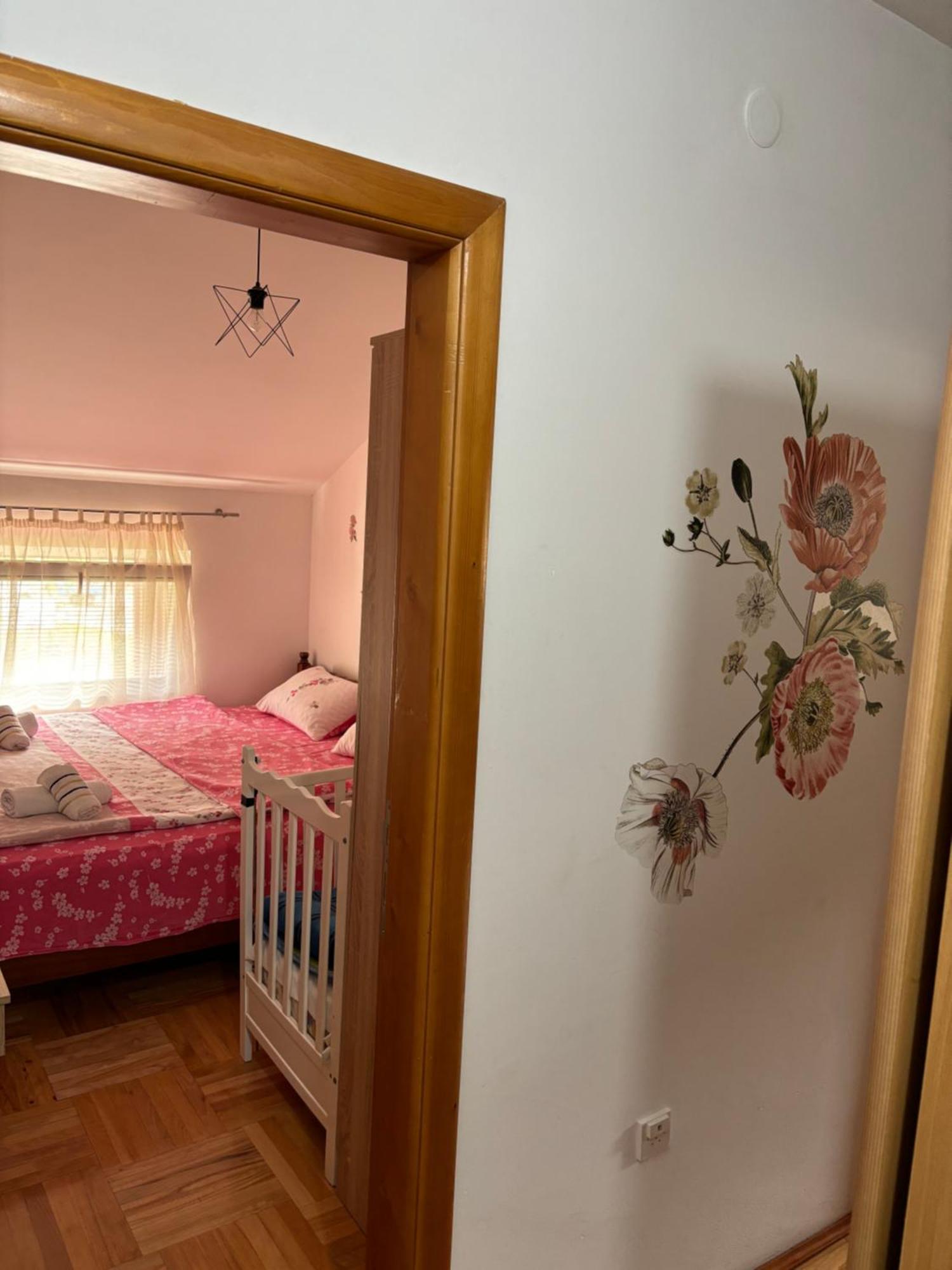 Elena Apartment Plužine Exteriér fotografie